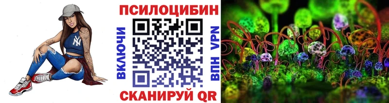как найти наркотики  дарк нет формула  Галлюциногенные грибы GOLDEN TEACHER  Чекалин 